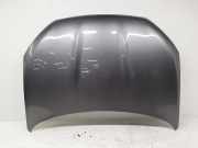 Motorhaube NISSAN QASHQAI II (J11, J11_) 1.6 dCi ALL MODE 4x4-i