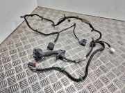 Türverkabelung hinten links FORD C-MAX II (DXA/CB7, DXA/CEU) 1.0 EcoBoost F1DT14240lbf A00000000