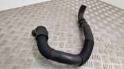 Schlauch Kühlung FIAT TALENTO Minibus / passenger (296_) 1.6 D