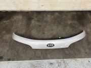 Gehäuse für Kennzeichenleuchte Kia Sorento II (XM) 873112P500