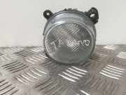 Nebelscheinwerfer links vorne Nissan Terrano II (R20) 96328200