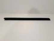 Horizontale Vordertürverkleidung BMW X3 (G01, F97) M Competition 7393418