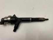 Düsenstöcke Nissan Pathfinder III (R51) 8973762703