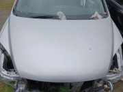 Motorhaube HONDA CR-V III (RE_) 2.2 i-DTEC 4WD (RE6)