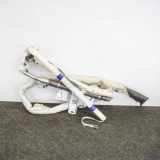 Dach SRS rechts AUDI Q7 (4L) 3.0 TDI quattro 4L0880742A