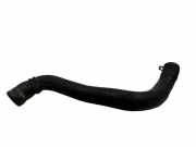 Schlauch Kühlung RENAULT SCÉNIC II (JM0/1_) 1.9 dCi (JM0G, JM12, JM1G, JM2C)