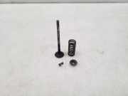 Auslassventil Nissan Qashqai (J10)