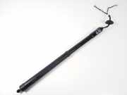 Heckklappendämpfer rechts Infiniti FX (S51) 905603FY0A