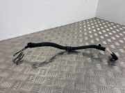 Kabelbaum RENAULT LAGUNA III Grandtour (KT0/1) 2.0 dCi (KT01, KT08, KT0K, KT0J, KT1A, KT1D)