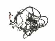 Motor Kabelbaum BMW X3 (F25) xDrive 28 i 7594992 7619138