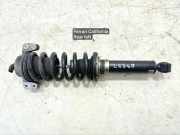 Stoßdämpfer hinten links FERRARI CALIFORNIA 4.3 247210