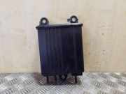 Rußfilter SUBARU FORESTER (SH_) 2.0 AWD 1386007200 42035FG020