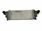 Ladeluftkühler MERCEDES-BENZ M (W164) ML 350 CDI 4-matic (164.122) A2515000000