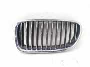 Vorderer oberer Gitter BMW 5 Touring (F11) 525 d 7261355