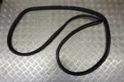 Dichtungsgummi für die hintere linke Tür TOYOTA RAV 4 IV (_A4_) 2.2 D 4WD (ALA49) 62332-42050