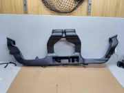 Luftdüsengehäuse Ford EcoSport () GN1519A842BC