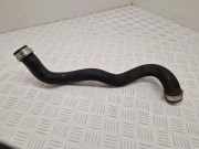 Schlauch Kühlung MERCEDES-BENZ GLK (X204) 350 CDI 4-matic (204.993) 1554098