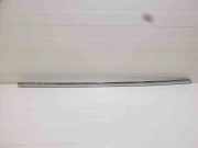 Türleiste hinten links VW PASSAT B6 (3C2) 2.0 TDI 16V 3C0853754C