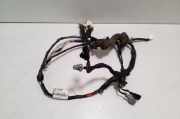 Kabel Tür Nissan Pathfinder III (R51) 24125EB302