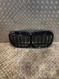 Gitter BMW X7 (G07) xDrive M 50 D 51138745732 8745732