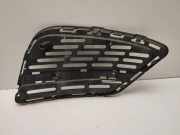 Gitter Grill vorne links MERCEDES-BENZ S (W222, V222, X222) S 350 BlueTEC / d (222.132, 222.032, 222.123) A2228850154