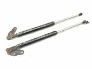 Heckklappe Gasdruckfeder rechts TOYOTA CELICA (_T23_) 1.8 16V VT-i (ZZT230_) 6895020400
