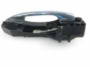 Türaußengriff vorne links