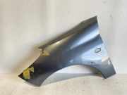 Kotflügel vorne links PEUGEOT 206+ (T3E) 1.1