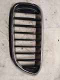Vorderer oberer Gitter BMW 5 (G30) 530 i 7390867