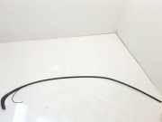 Dachleiste links BMW 3 (E46) 320 i SHADOWLINE