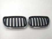Kühlergrill oben BMW X5 (E53)