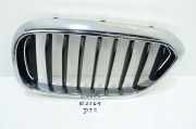 Kühlergrill komplett BMW 5er (G30, F90) 7383519