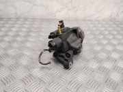 Kraftstoffpumpe Renault Grand Scenic III (JZ) H8200704210