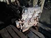 Motor ohne Anbauteile (Benzin) Nissan Almera II (N16) QG15