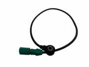 Klopfsensor Audi A4 Cabriolet (8H) 07D905377