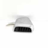 Ziergitter Porsche Cayenne 2 (92A) 7P5819203