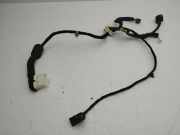 Türverkabelung hinten links OPEL ANTARA 2.2 CDTi 4x4 20980139