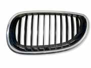 Vorderer oberer Gitter BMW 5 (E60) 530 d 7027061