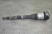 Pneumo-Stoßdämpfer hinten links MERCEDES-BENZ S (W221) S 320 CDI (221.022, 221.122)