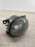 Nebelscheinwerfer links RENAULT MEGANE II (BM0/1_, CM0/1_) 1.9 dCi (BM0G, CM0G) 8200074008