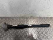 Stoßdämpfer hinten links PORSCHE PANAMERA (971) 4.0 Turbo 971512131
