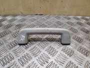 Griff Panoramadach Ford Kuga ()