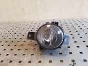 Nebelscheinwerfer links BMW X6 (E71, E72) xDrive 30 d 13101610 89206281