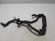 Wasserkühlerschlauch links