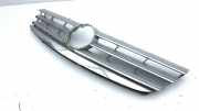 Vorderer oberer Gitter MERCEDES-BENZ A (W169) A 160 CDI (169.006, 169.306) A16788009