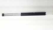 Heckklappe Gasdruckfeder rechts RENAULT LAGUNA I (B56_, 556_) 2.0 (B56C/H/N)