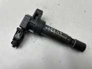Hochspannungszündkabel (Steckkabel) KIA CARENS II (FJ) 2.0 CVVT 273013C000