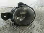 Nebelscheinwerfer vorne rechts BMW X5 (E70) xDrive 30 d 6924656