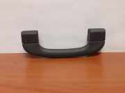 Griff Panoramadach BMW X5 (E70) 6246