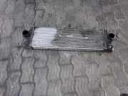 Ladeluftkühler VW CRAFTER 30-50 Flatbed (2F_) 2.5 TDI 9065000000 2E0145804